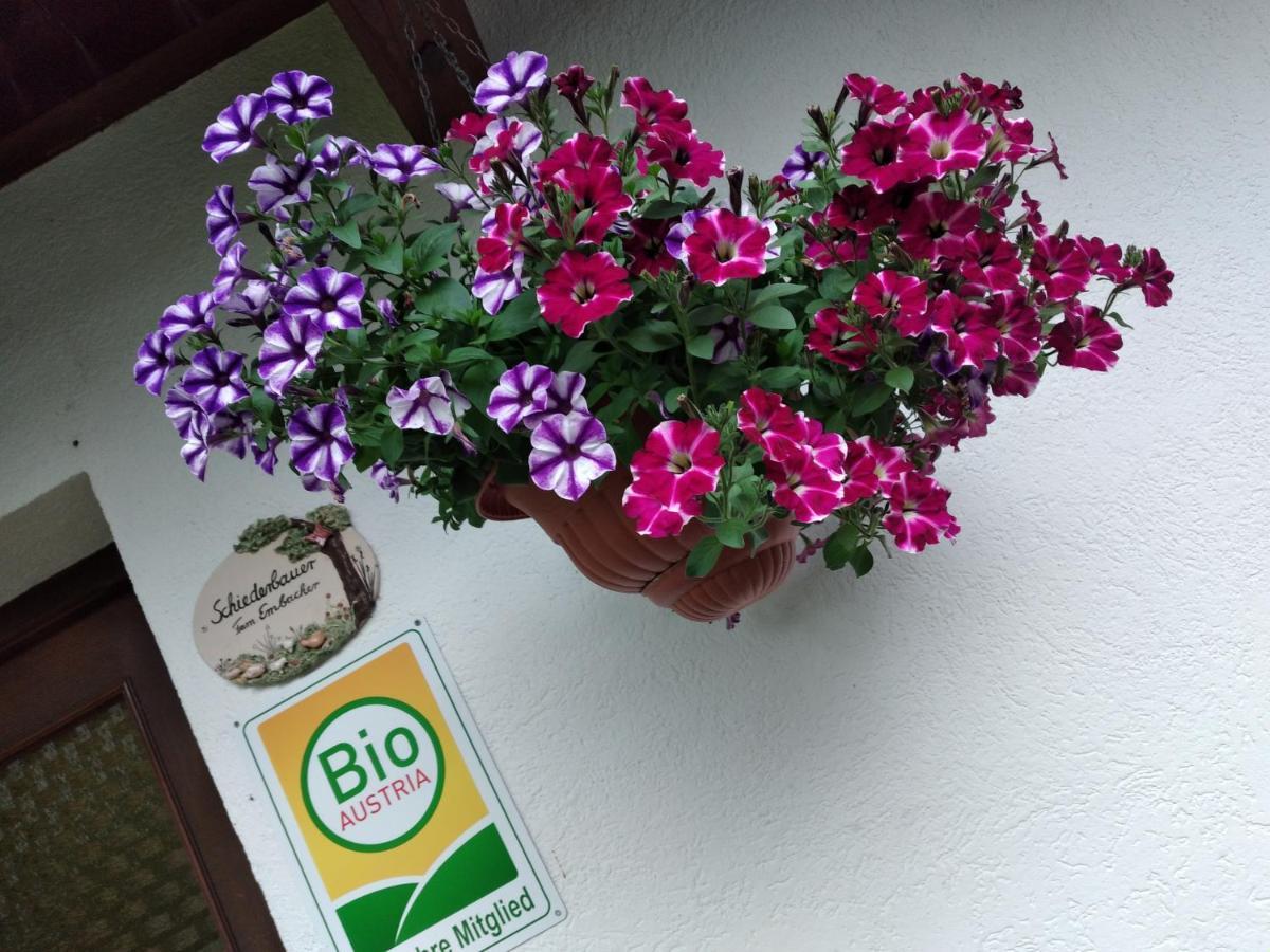 Bio-Bauernhof Schiederhof Apartment Fusch an der Grossglocknerstrasse Exterior photo